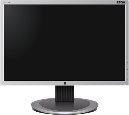 Computer Monitor